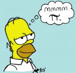 Homer Likes Pi.jpg