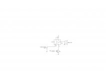 PAM8610 Connection.JPG
