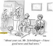 about-your-cat-mr-schrodinger-i-have-good-news-and-bad-news.jpg