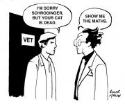 Schrödinger's Reply.jpg