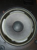 Jensen drivers 3.jpg