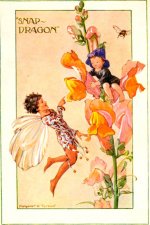 snapdragon fairies.jpg
