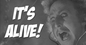 its-alive-og_hue59a81005f417dd23607580e311e0464_132040_900x0_resize_q90_linear.jpg its-alive-og_hue59a81005f417dd23607580e311e0464_132040_900x0_resize_q90_linear.jpg