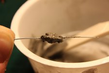 e_IMG_7134.JPG