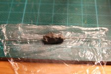 f_IMG_7135.JPG