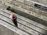 6BF11BDC-D510-4253-AB14-BF62FCB520E9.jpeg