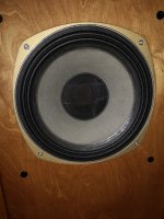 IMG_20220527_173511.jpg