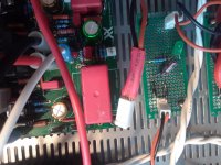 molex harness.jpg