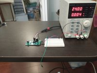 Delay and Mute Programming Setup.jpg