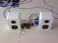 foam speaker pair.jpg