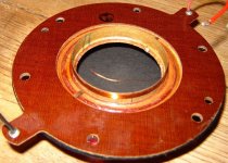 md500 back.jpg