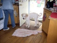 Chloe-400.jpg