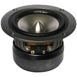 Tang Band 4 w plug.jpg
