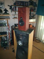 IMG_20220709_164307.jpg