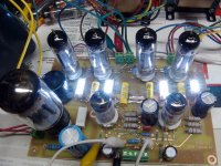 whiteled_1_b.jpg
