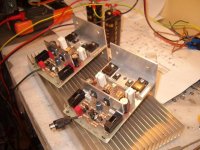 quasi by max 015 (small).jpg