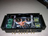 dual gainclone amp4.jpg