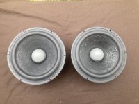 03043E17-22D3-419D-971E-FE11EAE6E575.jpeg