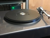 IMG_1903.jpeg