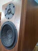 20220708_153544.jpg