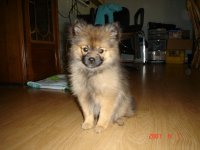 DSC00524.jpg