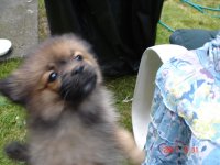 DSC00518.jpg