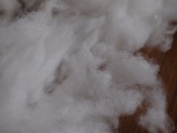 photo2.jpg
