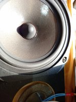 20220728_163120.jpg