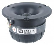 cat378.jpg