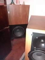 IMG_20220803_184256.jpg