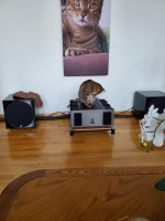20190606_200655.jpg