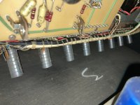 IMG_4692.jpeg