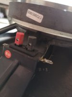 IMG_20220812_141058.jpg