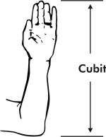 Cubit.png
