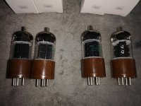 IMG_20220823_170213.jpg