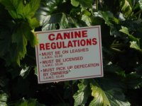 Regulations.JPG