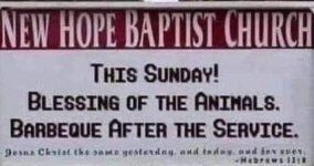 Animals.JPG