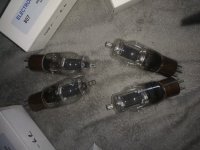 IMG_20220824_081917.jpg