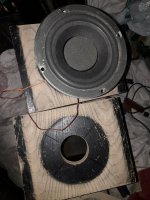 20220824_202125.jpg