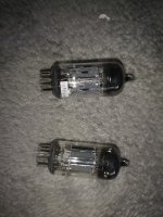 IMG_20220825_103358.jpg