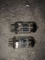 IMG_20220825_103428.jpg