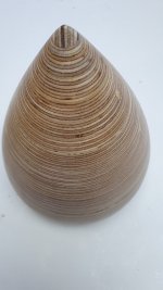20220908_180806.jpg