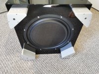 sub carbon passive radiator.jpg
