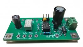 Mute and Delay 14 - 1.jpg