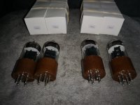 IMG_20220823_170208.jpg