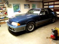 IMG_4196 Mustang 20C.jpg