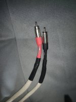 IMG_20220912_160318.jpg