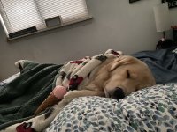 CA95CF51-84DB-41D4-9B30-0DEC66D8E691.jpeg