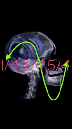 2384EE63-50AB-4DB8-B974-26A0D2B0C1F0.jpeg