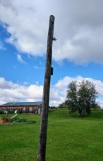 telephone pole.jpg